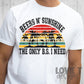 Beer N' Sunshine-Lovie T Designs