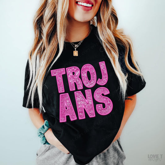 Trojans Embroidery & Sequin in Pink