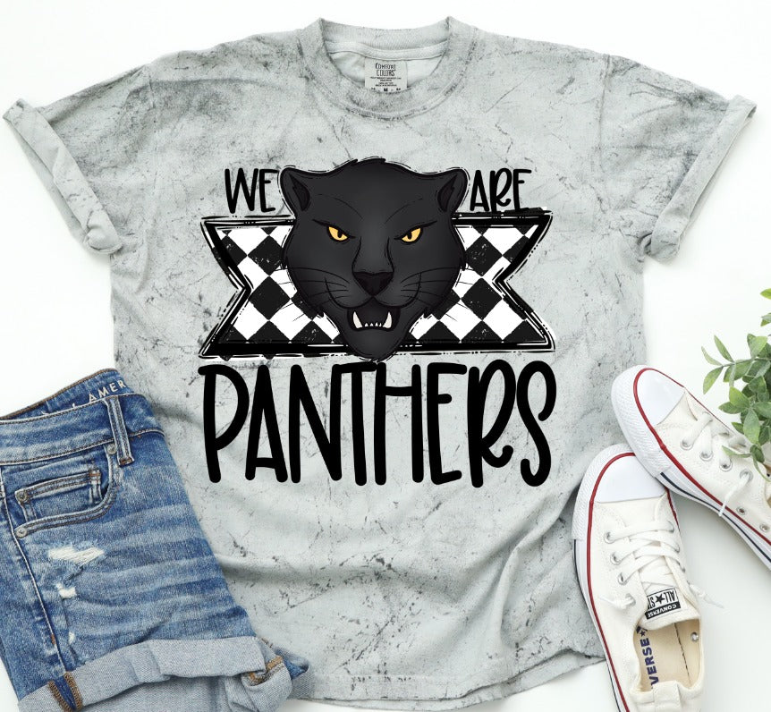 We Are Panthers-Lovie T Designs